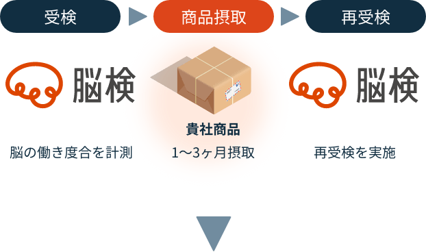 脳検受検(脳の働き度合を計測) → 商品摂取(貴社商品1〜3ヶ月摂取) → 脳検再受検を実施